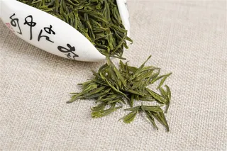 绿色新鲜的茶叶摄影图片