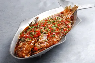 CXC03154明炉武昌鱼 42