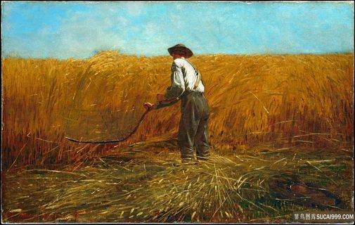 新领域的老手稻田油画