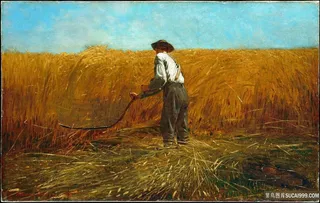 新领域的老手稻田油画