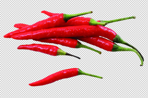 红辣椒免扣素材