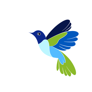 蜂鸟色彩鲜艳可编辑