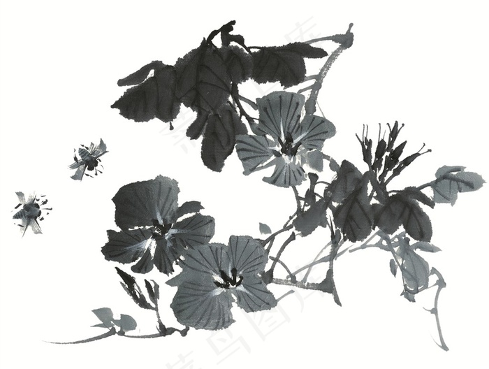 写意花卉文化艺术jpg素材