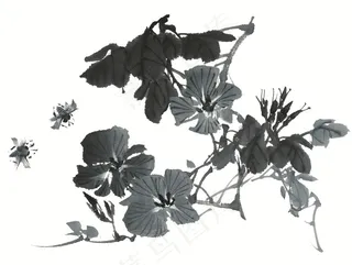 写意花卉文化艺术jpg素材