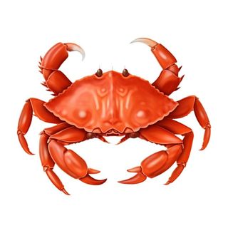 螃蟹免抠