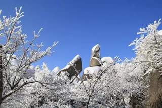 安徽安庆天竺山雪景图片-第9张