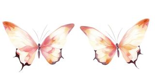 水彩粉色蝴蝶元素