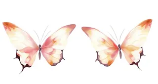 水彩粉色蝴蝶元素