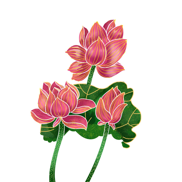 国潮中国风手绘荷花莲花荷叶莲藕植物花卉装饰插画PSD设计素材