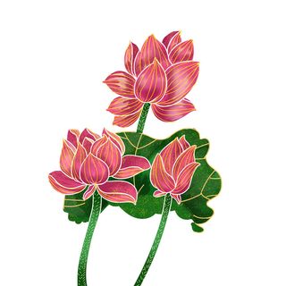 国潮中国风手绘荷花莲花荷叶莲藕植物花卉装饰插画PSD设计素材