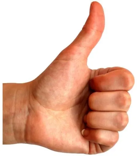 喜欢PNG免抠(525x600)