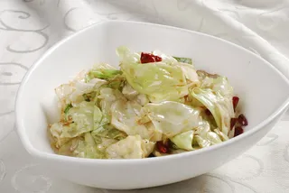 CXC04284手撕包菜