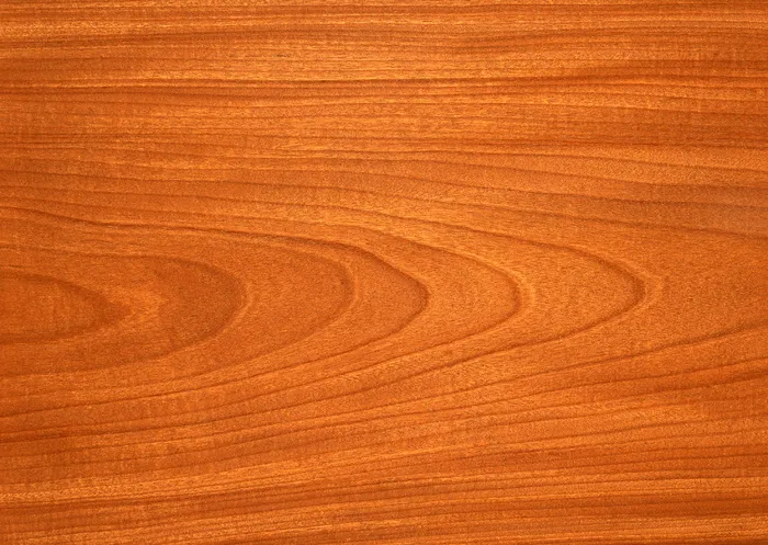 底纹 1414