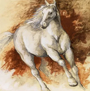 唯美骏马时尚插画