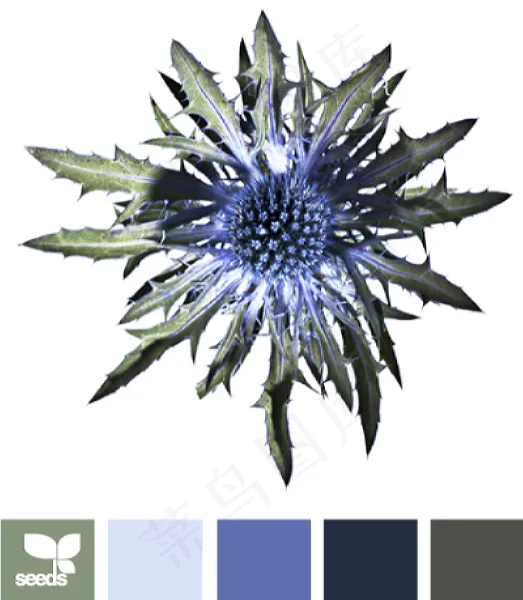 冬天系配色色卡色彩搭配