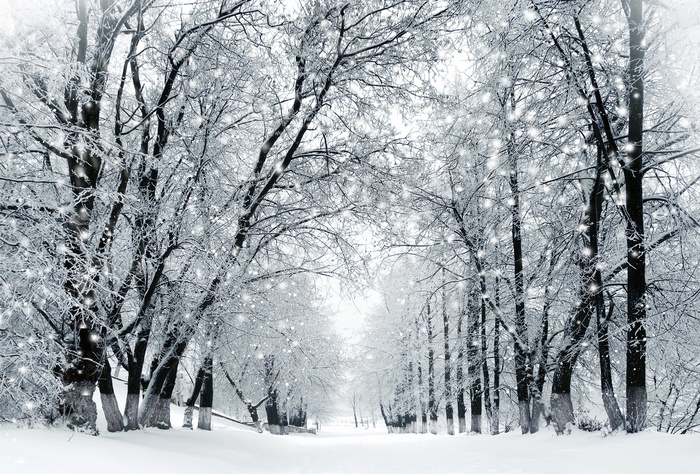 冬天的雪景高清摄影