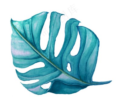 水彩插画-树叶7 水彩插画-树叶7