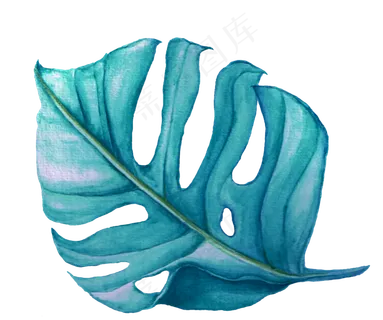 水彩插画-树叶7 水彩插画-树叶7