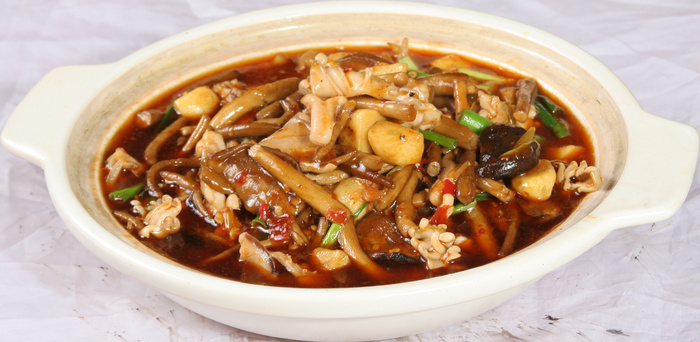 茶树鲜鱿煲  