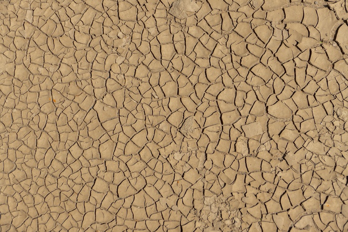 多口味蛋糕图片