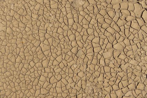 多口味蛋糕图片