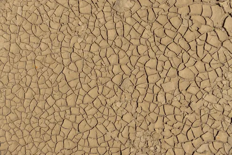 多口味蛋糕图片