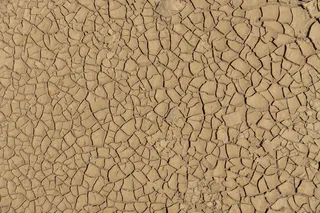 多口味蛋糕图片