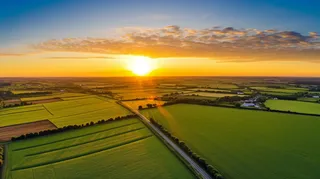 朝阳里的农田广袤无垠摄影图