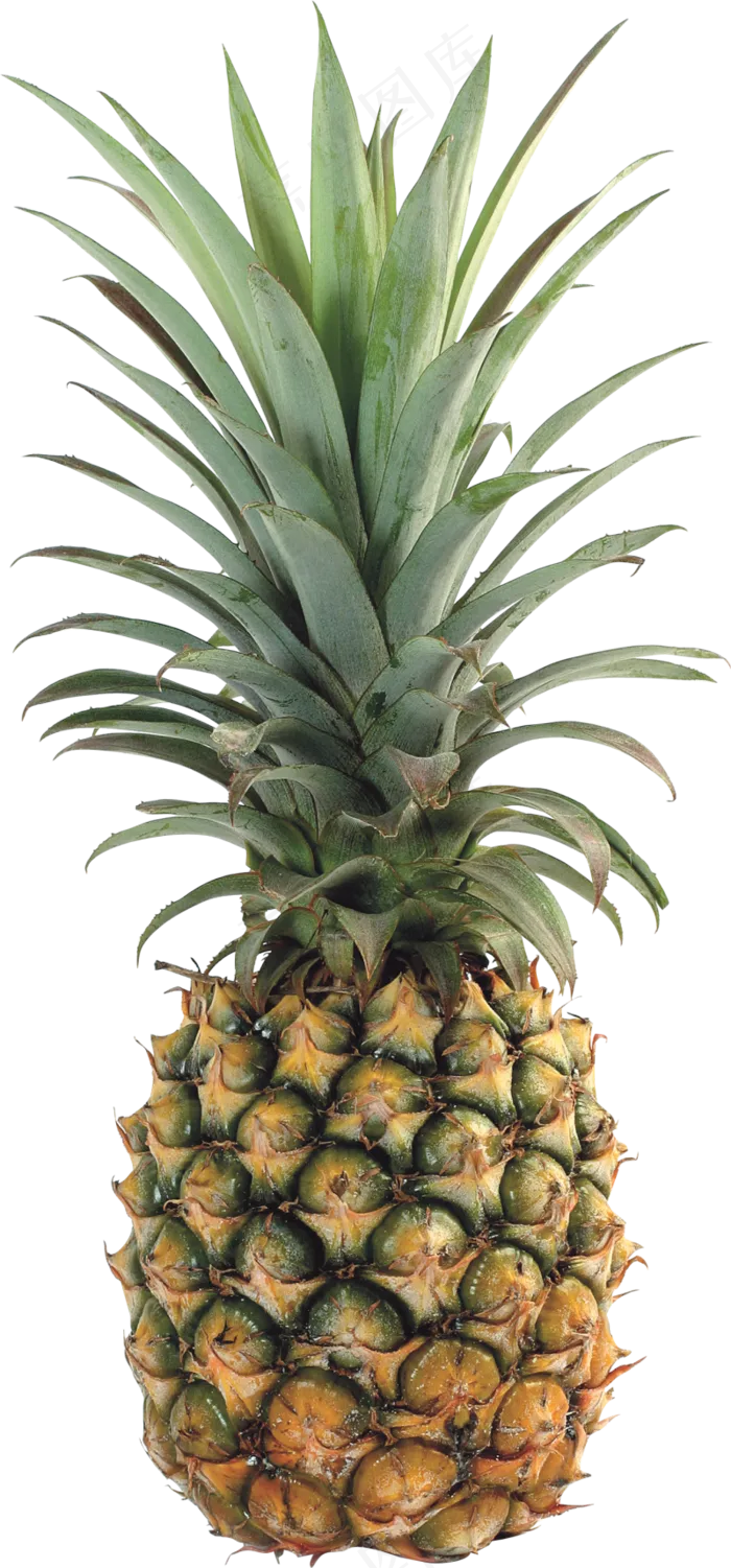 PNG 菠萝 