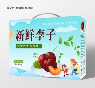 手提袋盒子新鲜李子水果包装