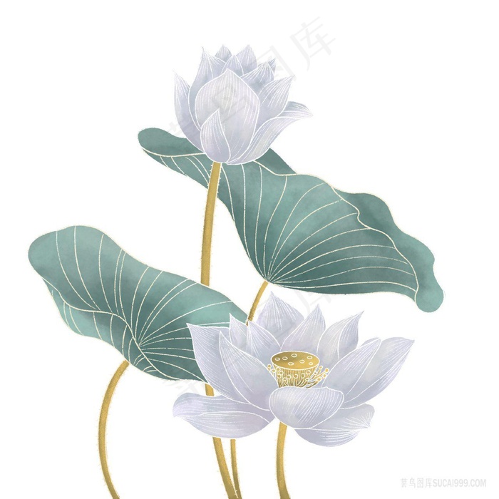 中国风淡雅荷叶荷花