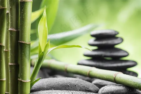 放在石头旁的竹子 放在石头旁的竹子