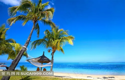 海边沙滩椰树上的吊床风景图片
