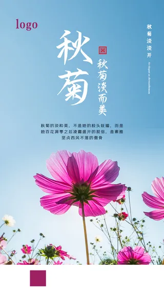秋菊格桑花