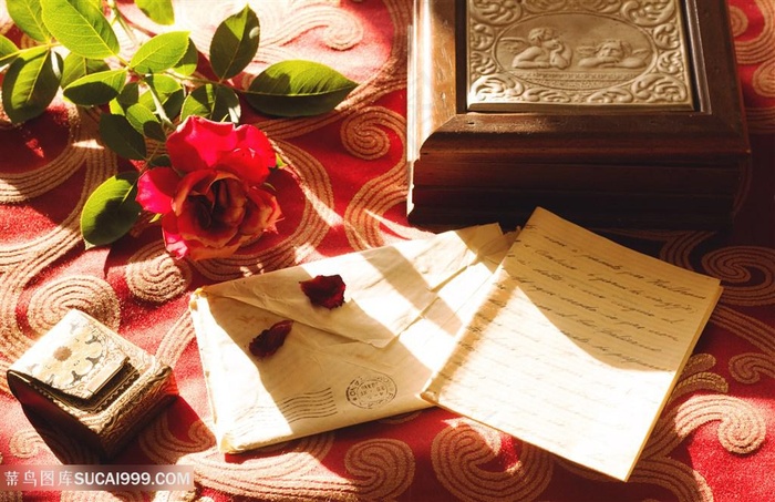 阳光下的书桌与花