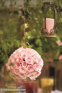 粉色玫瑰花花球