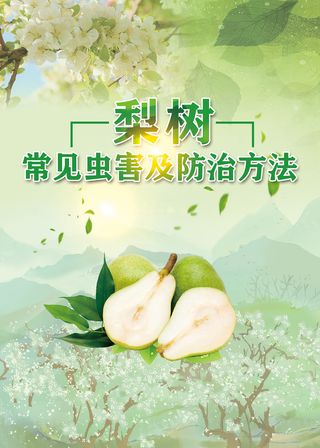 梨树常见虫害及防治方法海报
