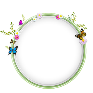圆形花朵蝴蝶边框免抠素材