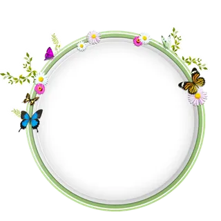 圆形花朵蝴蝶边框免抠素材