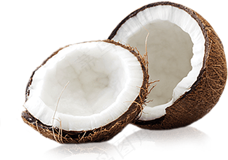 椰子免抠素材 (23)