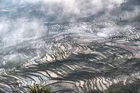 红河撒马坝梯田