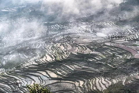 红河撒马坝梯田 红河撒马坝梯田