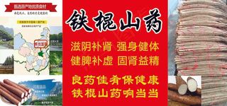 铁棍山药效果图药用海报