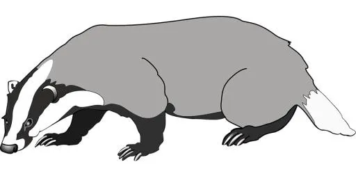 獾 PNG(960x480)