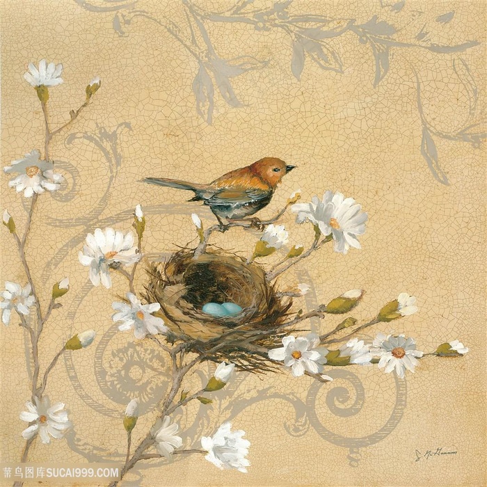 欧式花鸟装饰画