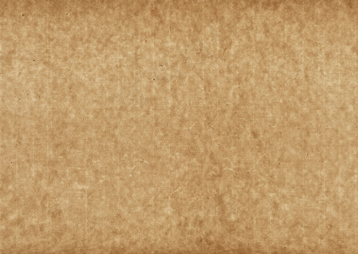 底纹 1172