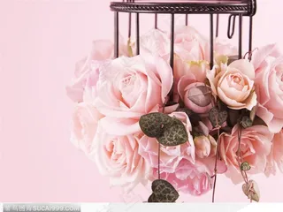 吊着花篮里的粉红玫瑰花束