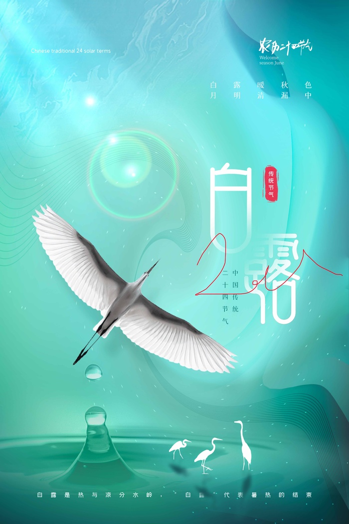 创新白露节气宣传海报图片psd模版下载