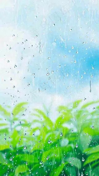春天绿草下雨水珠，雨水，立春，春分