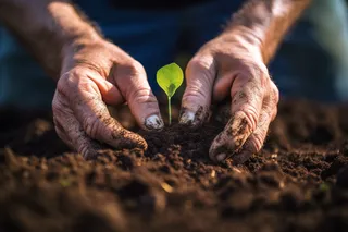 手捧黄土泥土农民摄影图